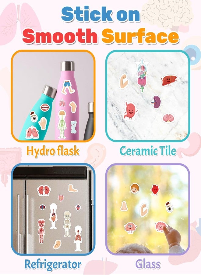 Benresive Reusable Sticker Books for Toddlers, Fun Travel Stickers for Kids, Toddler Sticker Book, Crafts Activities for Toddlers, 3 and Up Birthady Gifts - My Body - Image 4